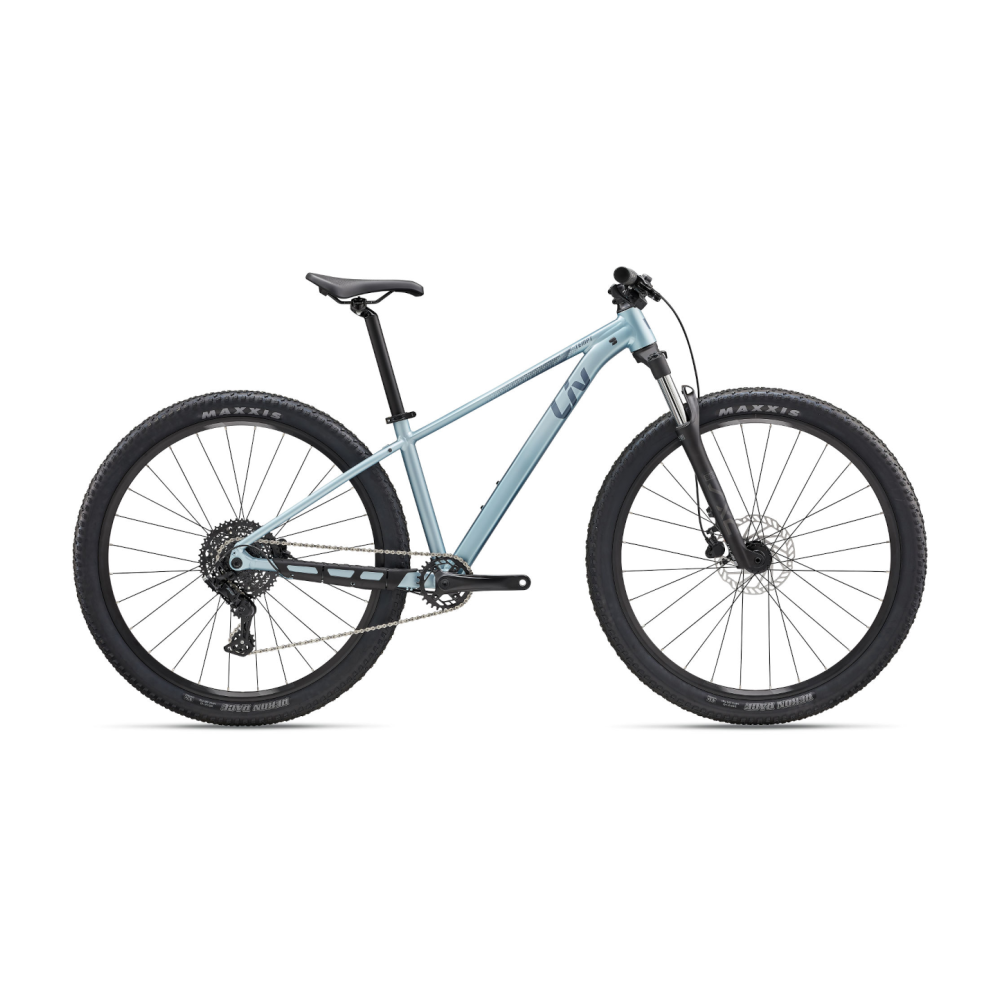 Jalgratas LIV Tempt 2 (2027) 29" Cryo Silver