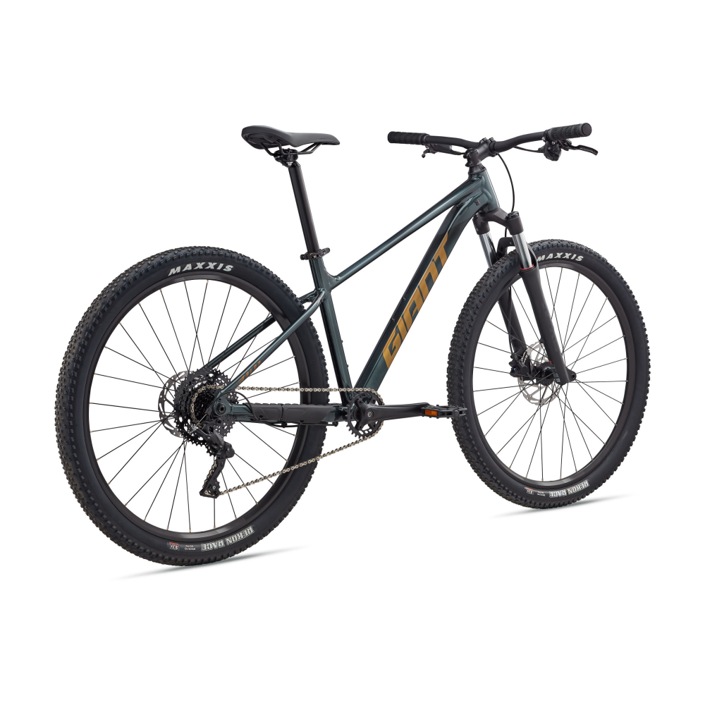 Jalgratas GIANT Talon 2, 29" Asphalt Green - Pilt 2