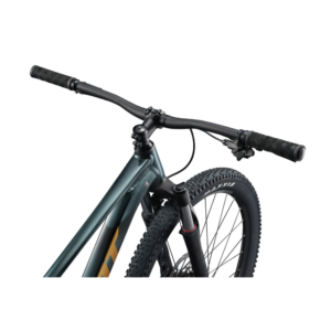 Jalgratas GIANT Talon 2, 29" Asphalt Green - Pilt 3