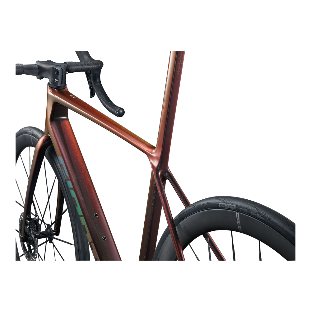 Maanteeratas GIANT TCR Advanced SL 0 DA, Black Lava (M/L) - Pilt 4