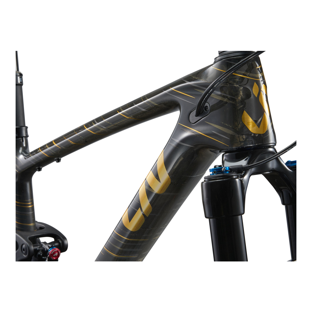 Maastikuratas LIV Pique Advanced 29 1, Raw Carbon - Pilt 3