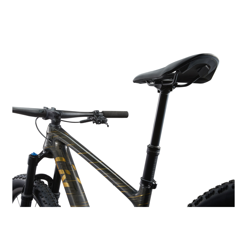 Maastikuratas LIV Pique Advanced 29 1, Raw Carbon - Pilt 4
