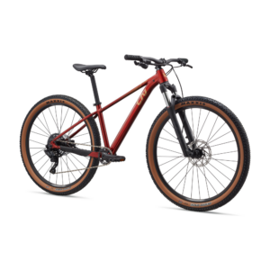 Naiste jalgratas LIV Tempt 2, 29" Mars Dust - Pilt 2