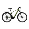 Elektrijalgratas TENWAYS AGO X Special Edition, 29" Green