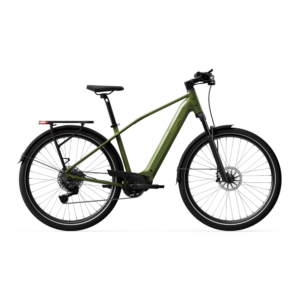 Elektrijalgratas TENWAYS AGO X Special Edition, 29" Green