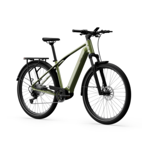 Elektrijalgratas TENWAYS AGO X Special Edition, 29" Green - Pilt 2