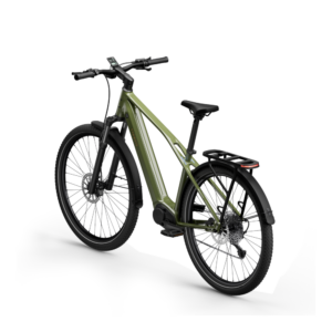 Elektrijalgratas TENWAYS AGO X Special Edition, 29" Green - Pilt 4