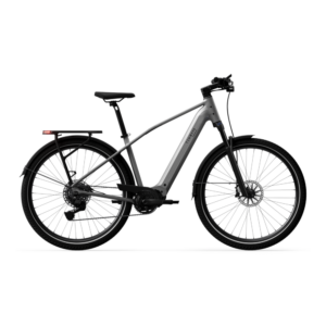 Elektrijalgratas TENWAYS AGO X Special Edition, 29" Silver