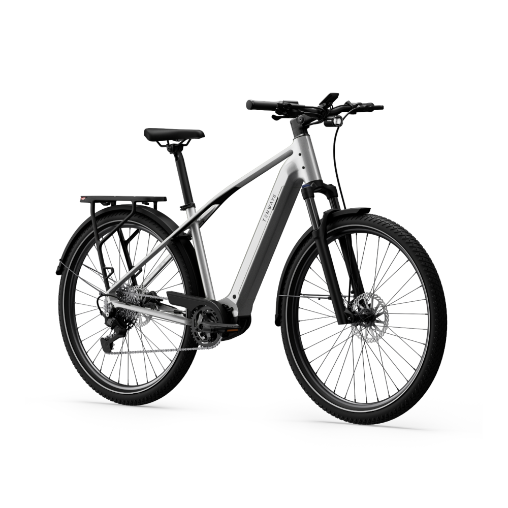 Elektrijalgratas TENWAYS AGO X Special Edition, 29" Silver - Pilt 2