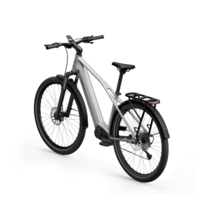 Elektrijalgratas TENWAYS AGO X Special Edition, 29" Silver - Pilt 3