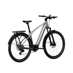 Elektrijalgratas TENWAYS AGO X Special Edition, 29" Silver - Pilt 4