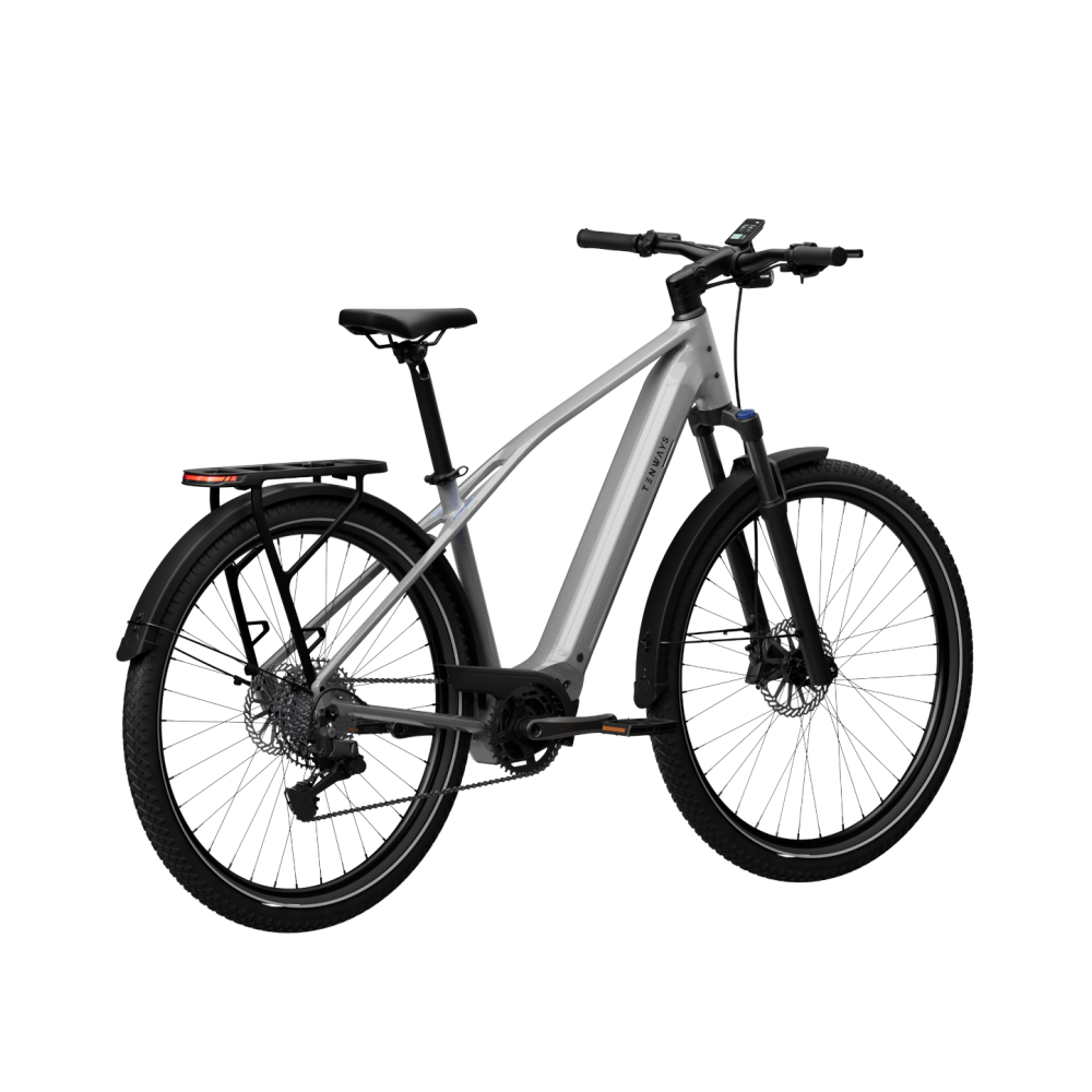 Elektrijalgratas TENWAYS AGO X Special Edition, 29" Silver - Pilt 4