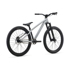 Dirt jump jalgratas GIANT STP 26, Quicksilver - Pilt 3