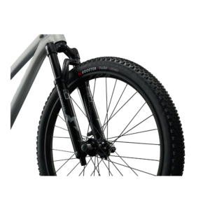 Dirt jump jalgratas GIANT STP 26, Quicksilver - Pilt 4