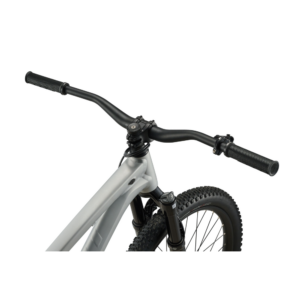 Dirt jump jalgratas GIANT STP 26, Quicksilver - Pilt 6