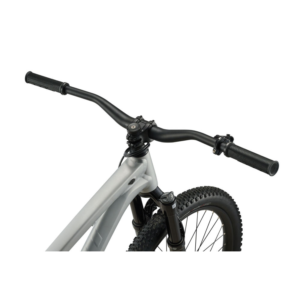 Dirt jump jalgratas GIANT STP 26, Quicksilver - Pilt 6