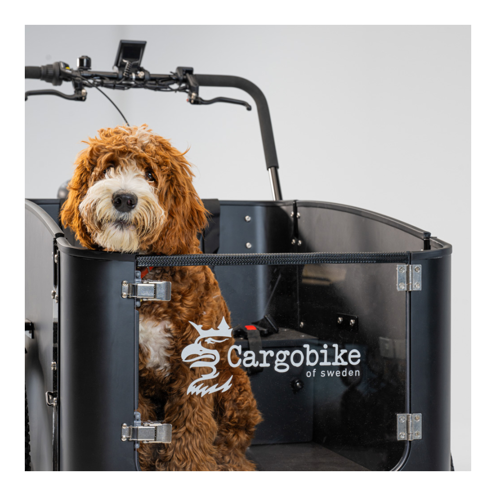 Elektriline kastiratas CARGOBIKE of SWEDEN Flex Dog - Pilt 2