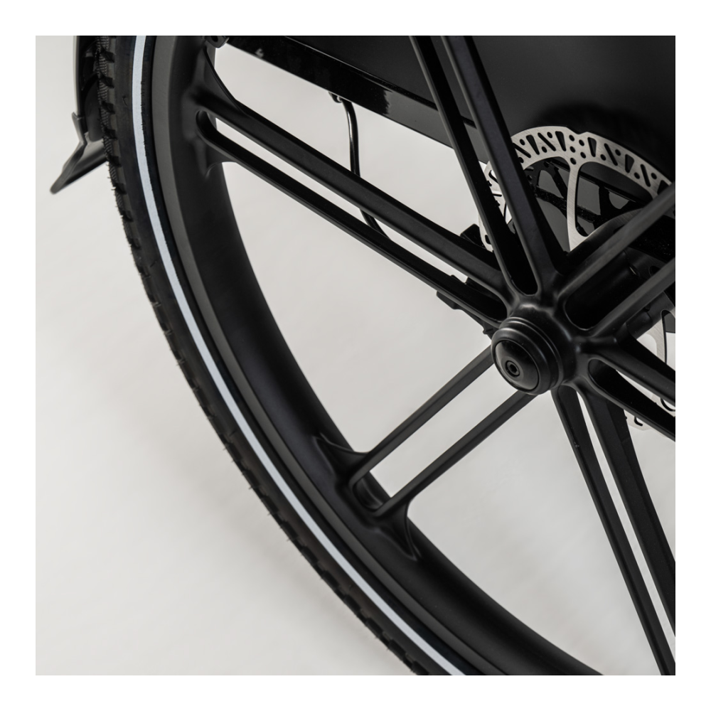 Elektriline kastiratas CARGOBIKE of SWEDEN Flex Dog - Pilt 7