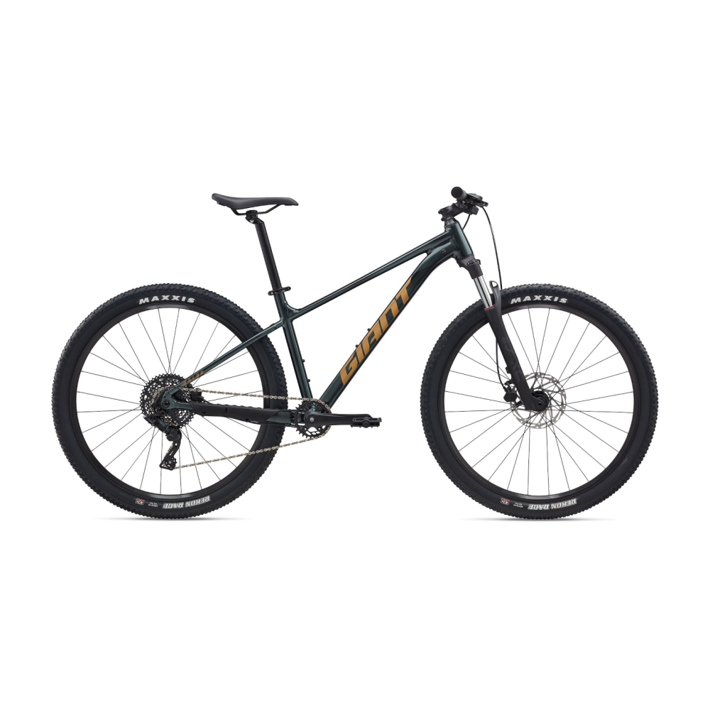 Jalgratas GIANT Talon 2, 29" Asphalt Green