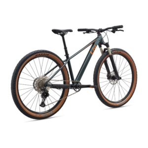 Naiste jalgratas LIV Tempt 0, 29" Asphalt Green - Pilt 3