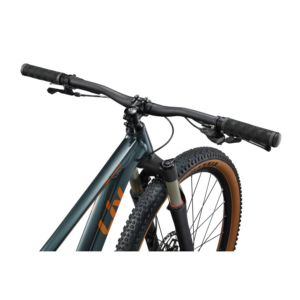 Naiste jalgratas LIV Tempt 0, 29" Asphalt Green - Pilt 4