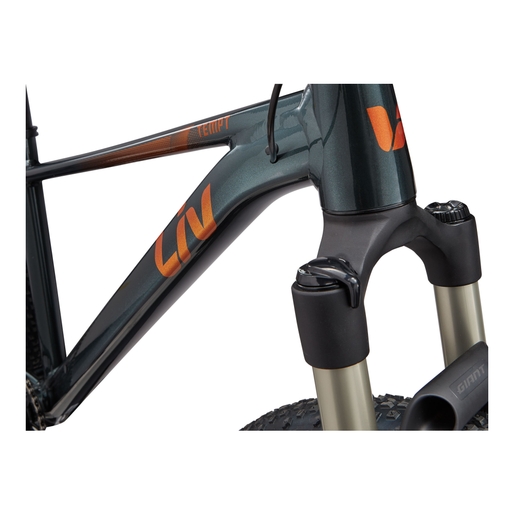 Naiste jalgratas LIV Tempt 0, 29" Asphalt Green - Pilt 8